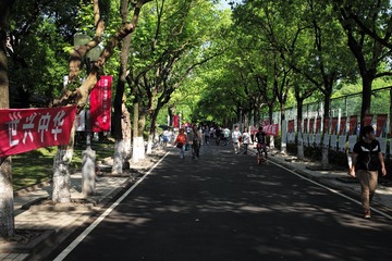 L1008554