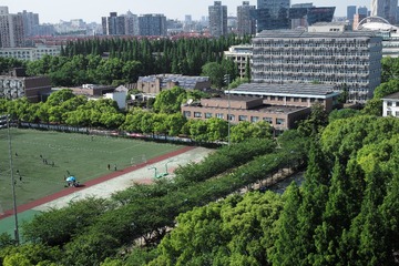 L1008539