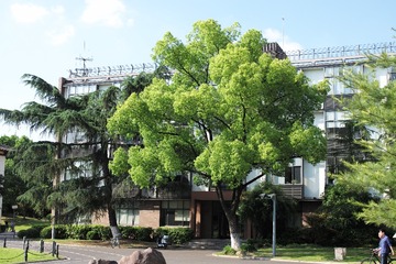 L1008552
