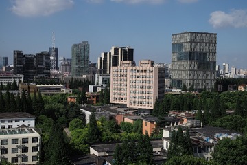 L1008528