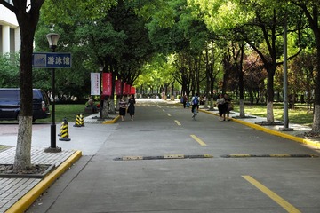 L1008522
