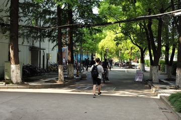 L1008549