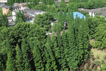 L1008532