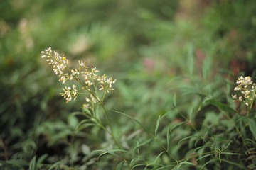 L1008603