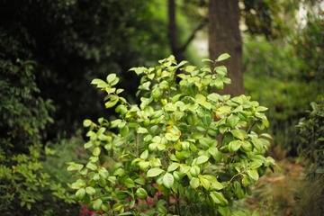 L1008599