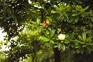L1008595