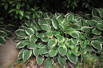 L1008601