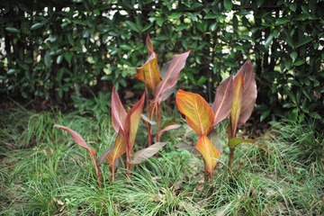 L1008606