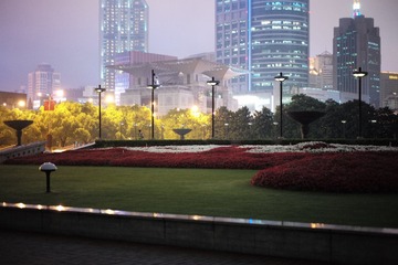 L1008850