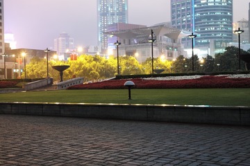 L1008852