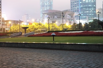 L1008851