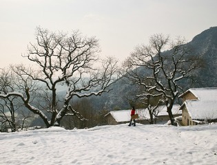 初雪