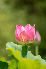 001
