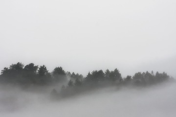 1000013863