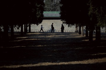 IMG_6100(0)