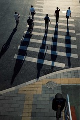 影儿 235