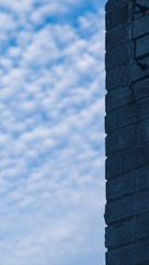 20201024-IMG_1866
