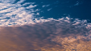 20201024-IMG_1901