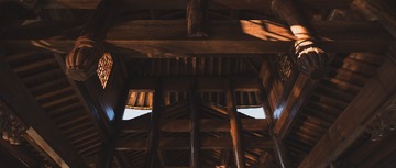 20241024-DSC06841