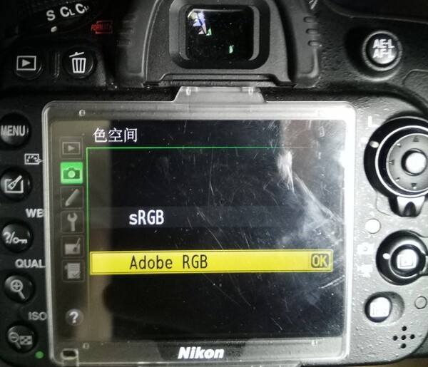 25919911.jpg