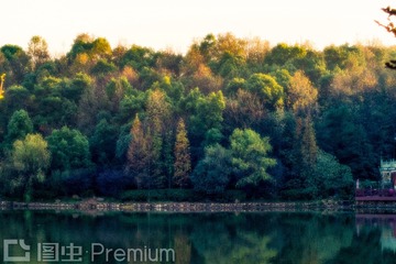 _DSC0074