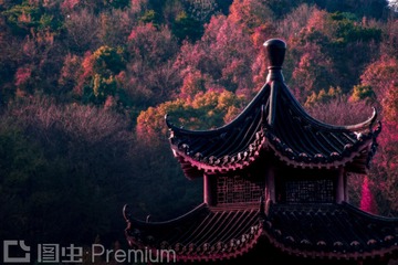 _DSC0017