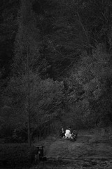 _DSC0070