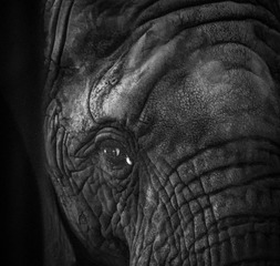 _DSC2587