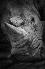 _DSC2614
