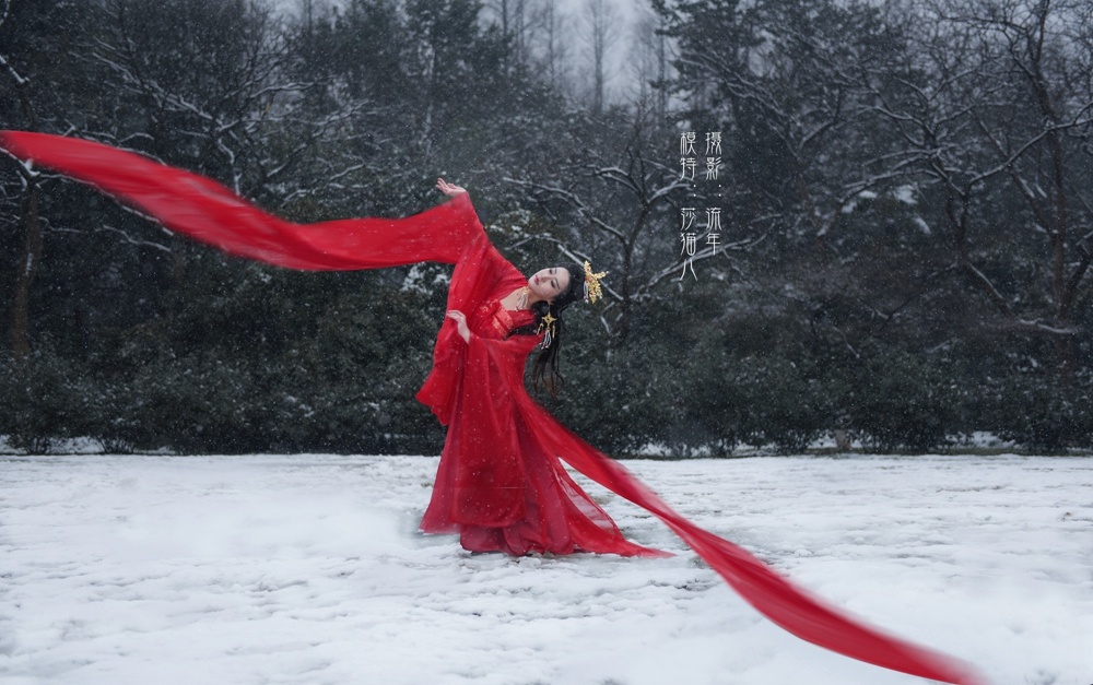 雪中舞