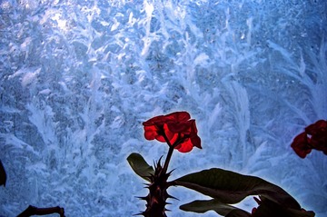 _DSC0010