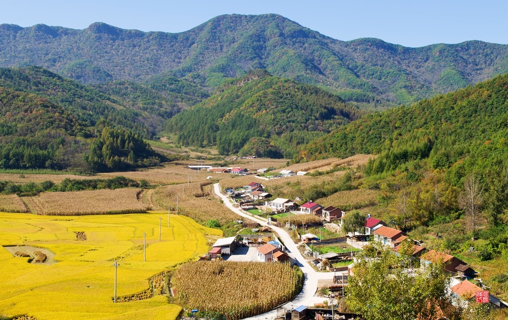 为了尽快脱贫,所辖村利用土地资源,以合作社方式种植无公害水稻.