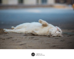 DSC_2637 (2)