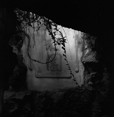 ZHOU Yang_A Garden 05