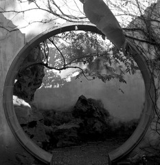 ZHOU Yang_A Garden 06