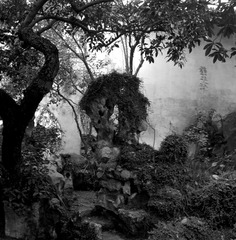 ZHOU Yang_A Garden 09