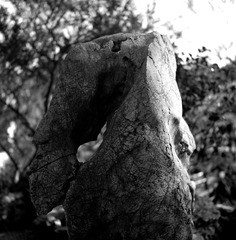ZHOU Yang_A Garden 12