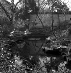 ZHOU Yang_A Garden 14