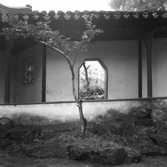 ZHOU Yang_A Garden 16