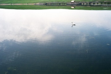 Preview_img15418