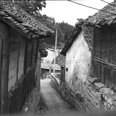 NEW_Img517