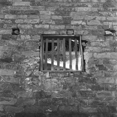 NEW_Img524