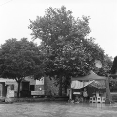 NEW_Img557
