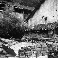 NEW_Img575