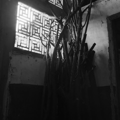 NEW_Img580