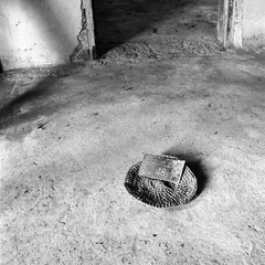 NEW_Img584