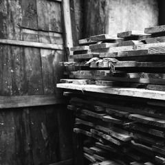NEW_Img617