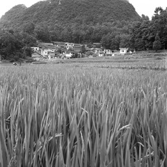 NEW_Img636