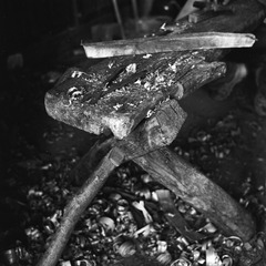 NEW_Img667