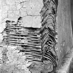 NEW_Img677 3